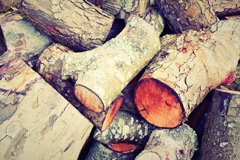 Mushroom Green wood burning boiler costs